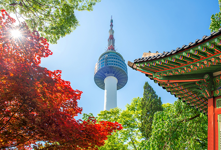 韓國客製化需求單