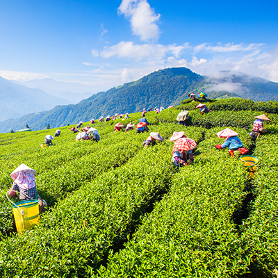 生命就該浪費在美好事物上，只要您願意為它停留。
