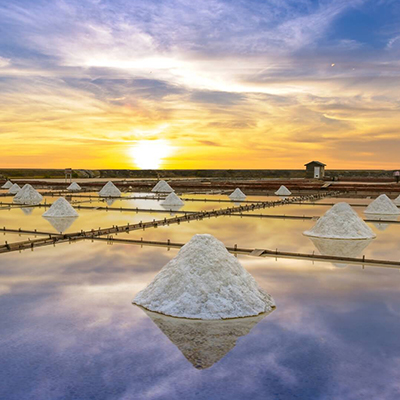 生命就該浪費在美好事物上，只要您願意為它停留。