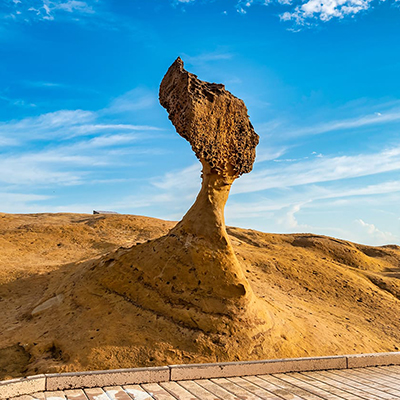 生命就該浪費在美好事物上，只要您願意為它停留。