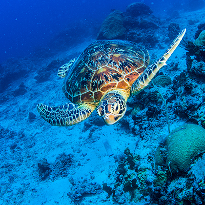生命就該浪費在美好事物上，只要您願意為它停留。