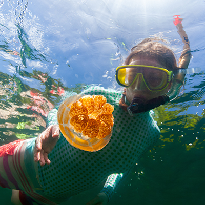 生命就該浪費在美好事物上，只要您願意為它停留。