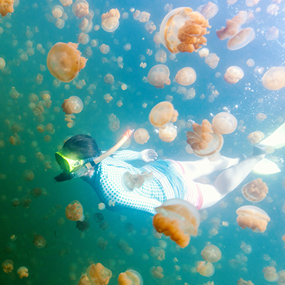 生命就該浪費在美好事物上，只要您願意為它停留。