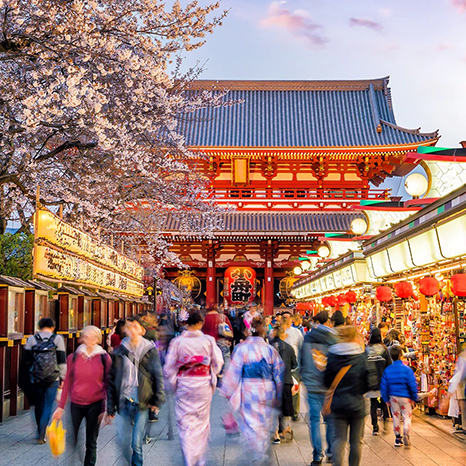 <p>生命就該浪費在美好事物上，只要您願意為它停留。</p>
