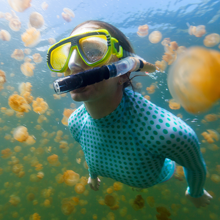 水母湖 Jellyfish Lake