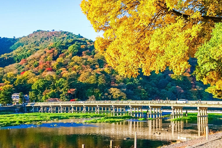 大阪京都奈良三都巡禮+國產牛吃到飽精選五日~嵐山渡月橋+清水寺+伏見稻荷大社+奈良鹿公園(亞航)