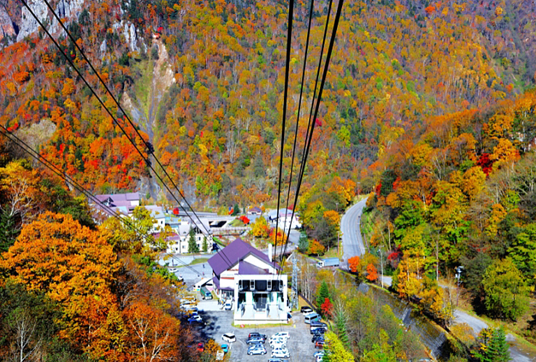 北海道大雪山黑岳纜車+函館百萬夜景+洞爺湖花火節+三大蟹和牛水酒無限暢飲賞楓六日～流星瀑布.白金青池.富田農場(泰越捷)