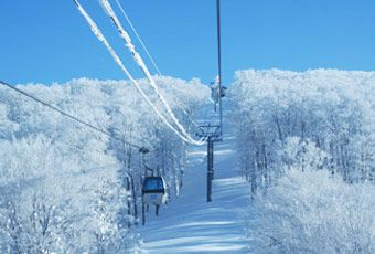 東北森吉山阿仁樹冰纜車溫泉美食五日+松島遊船+嚴美溪+角館+銀山溫泉街~入住三晚溫泉飯店(長榮)