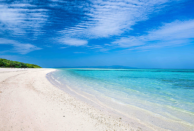 遇見南之美花~石垣島自由行五天(虎航-每周六)