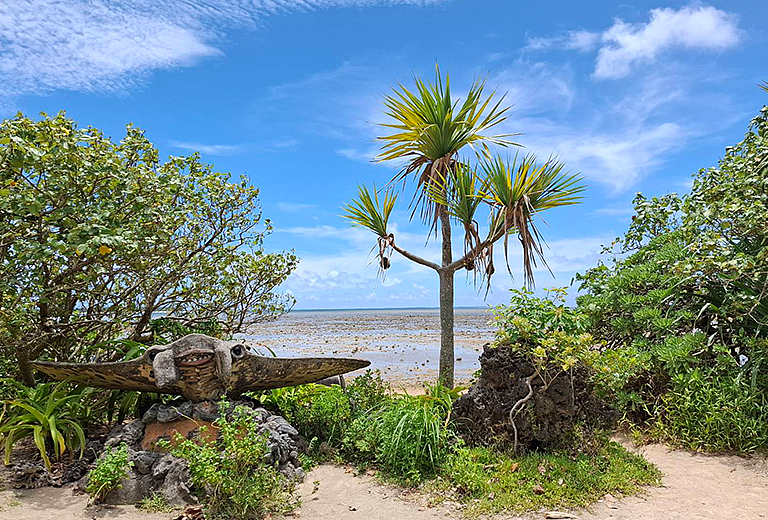 遇見南之美花~石垣島自由行四天(虎航-每周三)
