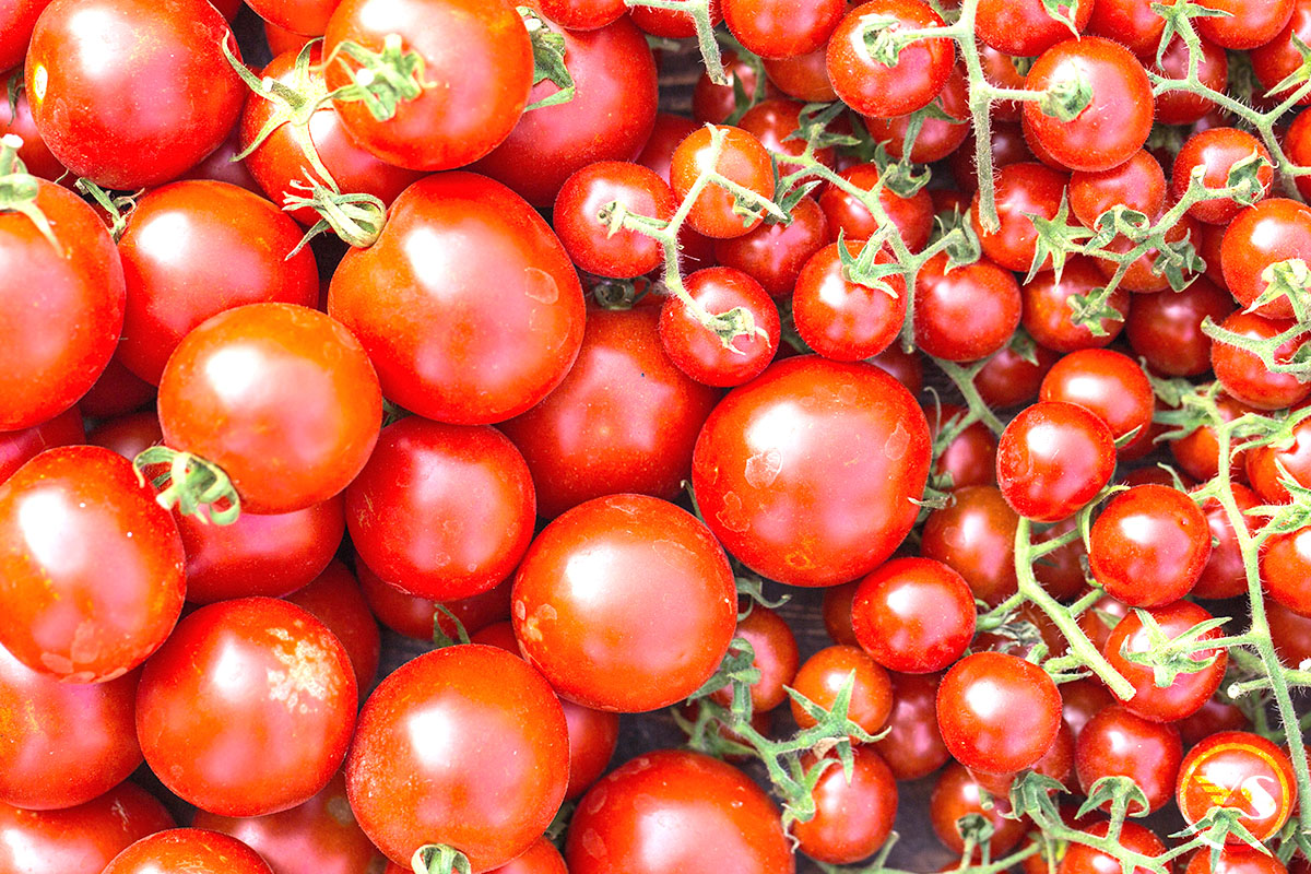 【阿聯假期】2026狂歡番茄節大戰11天