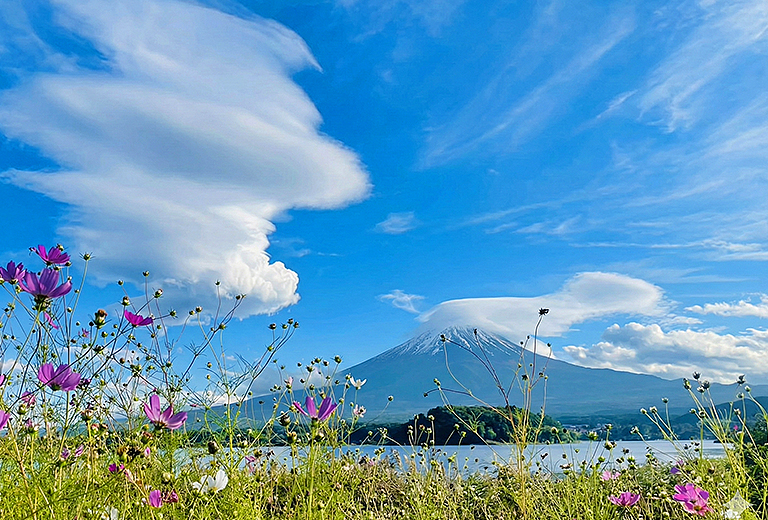 東京五天自由行(樂桃-早去/晚回)